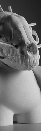 Reproduction d'oeuvres d'art